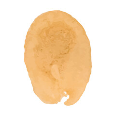 coffee stain of fingerprint on transparent background - PNG format.