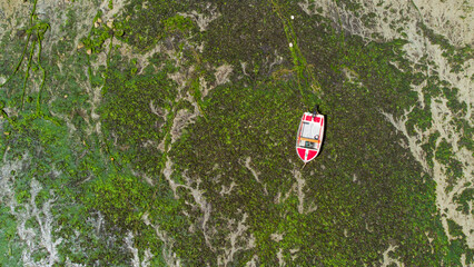 Bateau, plage, mer, vue aérienne