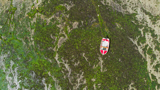 Bateau, plage, mer, vue a&eacute;rienne