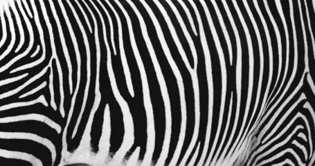 Gardinen Textur der Zebrahaut © Mohamed