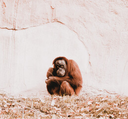 A protecting mom under their spot