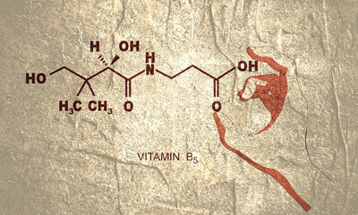 Hand holding chemical molecular formula of vitamin B5 pantothenic acid.