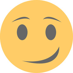 Fototapeta premium Winking Face