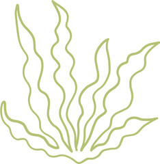 seaweed line art drawing