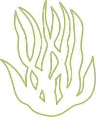 seaweed line art drawing