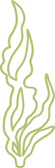 seaweed line art drawing