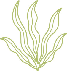seaweed line art drawing © Wynnys Sa