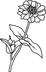 Margot Hand Drawn Sketch Line Art Illustration

