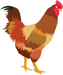 Fototapeta premium chicken vector