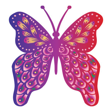 Beautiful  butterfly zentangle stylized.  Illustration of decorative. 
