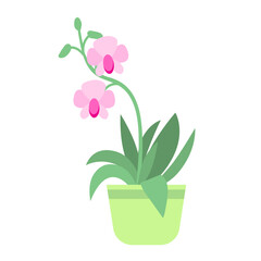 Vector stylized illustration of home plant in a pot, pink orchid