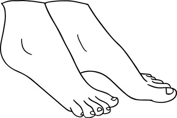 Female hands and feet. Manicure and pedicure concept. Vector Illustration in trendy outline style