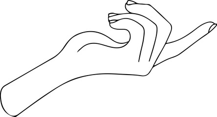 Female hands and feet. Manicure and pedicure concept. Vector Illustration in trendy outline style