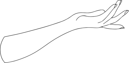 Female hands and feet. Manicure and pedicure concept. Vector Illustration in trendy outline style