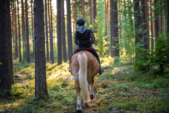 Woman horseback riding in forest parth