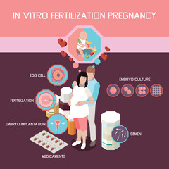 In Vitro Fertilization Pregnancy Isometric Infographics