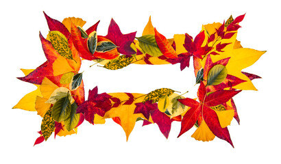 Autumn sale background with leaves, shopping sale or promo poster and frame banner. Fall leaf border, autumnal background. Autumn frame for design banners, leaflets, posters with space for text.