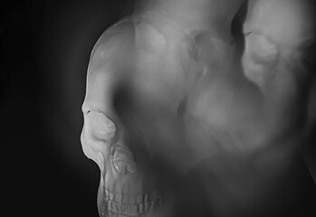Abstract view of multiple skulls, visual effect using an optical prism. Monochrome color.