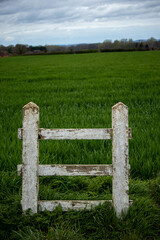 wooden fence