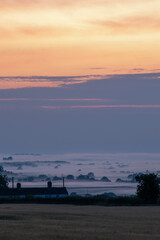 Misty Morning 2