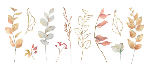 Watercolor vector set of autumn branches isolated on a white background. - obrazy, fototapety, plakaty