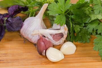 Garlic head, peeled and unpeeled cloves among the fresh greens