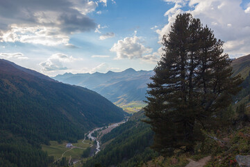 Obraz premium Panorama of Vallelunga at evening with pine tree in the foreground. Vallelunga, Alto Adige Sudtirol, Italy