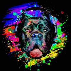 Foto op Plexiglas abstract colored dog muzzle isolated with headphone on colorful background color art © reznik_val
