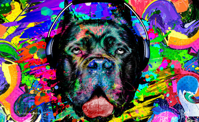 abstract colored dog muzzle isolated with headphone on colorful background color art