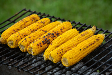 Fresh roasted or grilled corncobs. Grilled Corn for sale on the street.