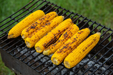 Fresh roasted or grilled corncobs. Grilled Corn for sale on the street.