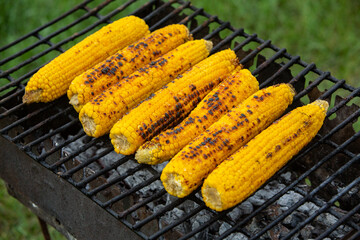 Fresh roasted or grilled corncobs. Grilled Corn for sale on the street.
