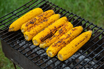 Fresh roasted or grilled corncobs. Grilled Corn for sale on the street.