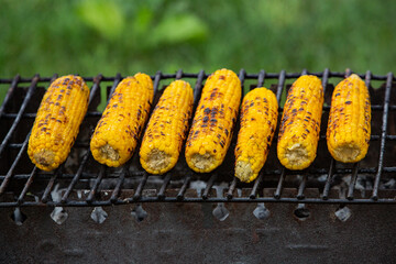 Fresh roasted or grilled corncobs. Grilled Corn for sale on the street.