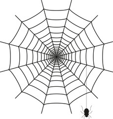 Obraz premium Toile d’araignée isolée sur fond blanc 