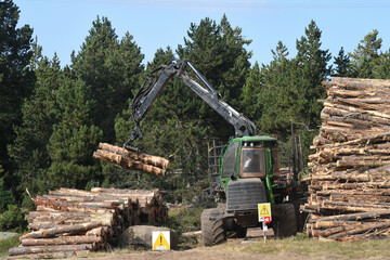 Travaux forestiers (Forestry work)