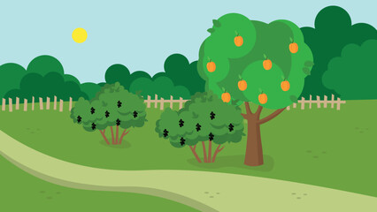 Obraz premium apricot tree and currant bushes