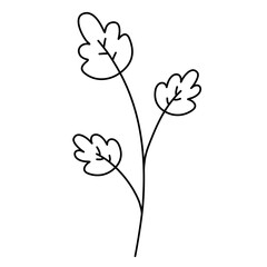 handdrawn doodle leaves png.