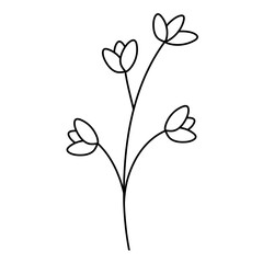 handdrawn doodle leaves png.