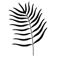 handdrawn doodle leaves png.