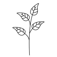 handdrawn doodle leaves png.