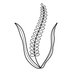 handdrawn doodle leaves png.