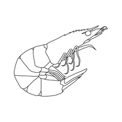 The shrimp icon. The black outline of the shrimp. Marine life. Vector illustration isolated on a white background for design and web.