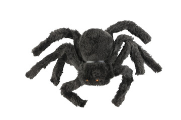 Cutout of an isolated  black hairy spider Halloween soft toy   with the transparent png background