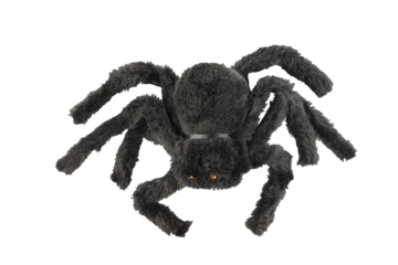 Cutout of an isolated  black hairy spider Halloween soft toy   with the transparent png background