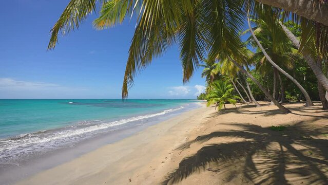 Transparent ocean waves on the sea beach of a tropical island. Shadows of palm trees on the golden sand of the beach. Palm leaves close-up against the blue sky. Camera without movement.