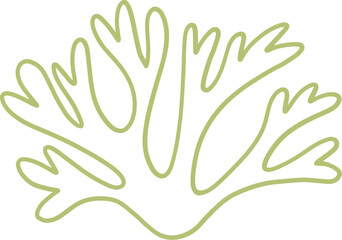 seaweed line art drawing