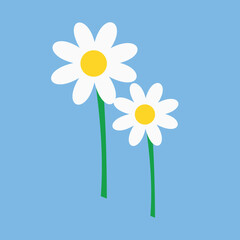 Two daisies, flowers, illustration, vector