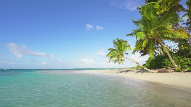 Bounty Island with beautiful coconut trees. Relaxation on a tropical coastline with a palm-fringed beach. Travel to tropical paradise. Camera on the move.