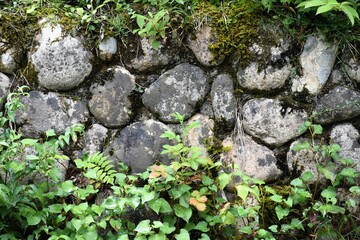 Obraz premium 木の殿堂、安藤忠雄、木造建築、建築物、博物館、兵庫県、椅子